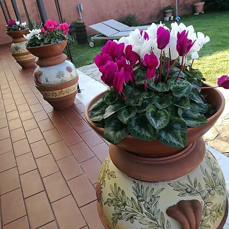Nocleg ze śniadaniem Giusy