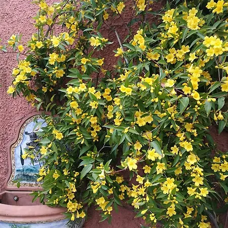 Bed & Breakfast Giusy Marina Di Carrara